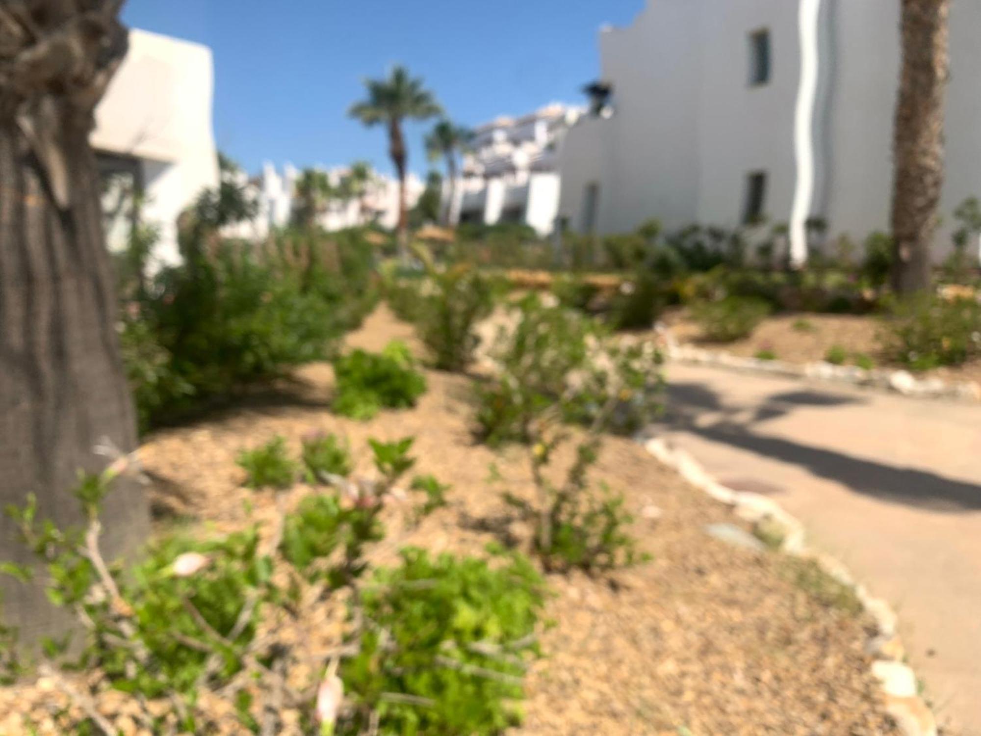 Apartamento Las Salinas 1389 Vera Ngoại thất bức ảnh